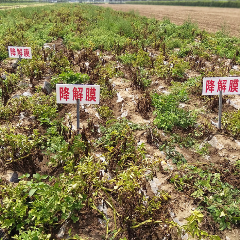 Fully Biodegradable Mulch Pbat Agricultural Vegetable Mulch Fixed Weed Black Mulch