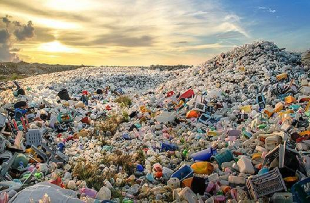 Why the “biodegradable” plastic bags you buy may not be environmentally friendly - 3 myths revealed!