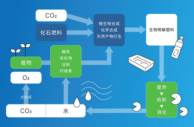 图片22.png