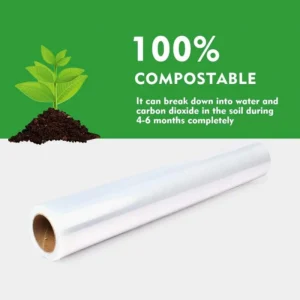 import placeholder for 463