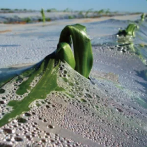 import placeholder for 481