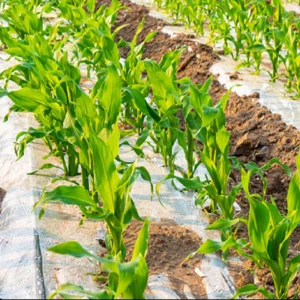 import placeholder for 474