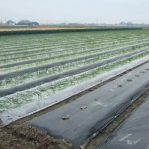 import placeholder for 552